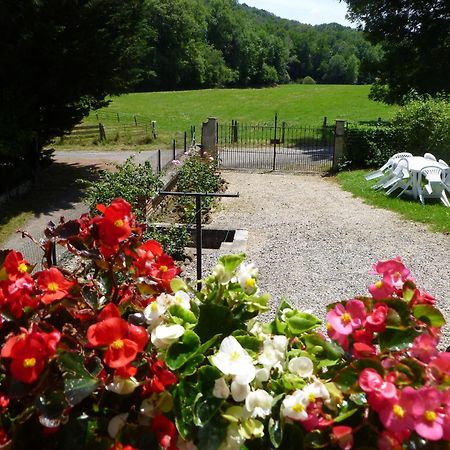 Gite Le Moulin Pres De Tarbes, Lourdes, Bagneres De Bigorre Mascaras المظهر الخارجي الصورة